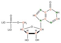 U-13C U-15N Inosine 5'- monophosphate  lithium salt solution