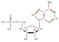 U-13C U-15N Cytidine 5'- monophosphate lithium salt  solution