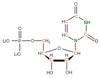 U-13C U-15N Uridine 5'- monophosphate lithium  salt solution