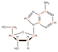U-13C Deoxyriboadenosine  powder