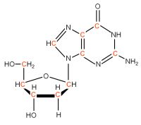 U-13C Deoxyriboguanosine  powder