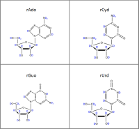 Set of 4 U-2H-labelled rNs  solution or powder