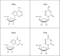 Set of 4 U-15N-labelled rNs  solution or powder