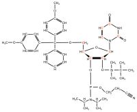 U-13C Uridine  Phosphoramidite powder