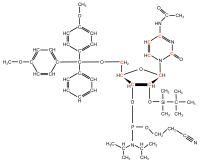 U-13C Cytidine  Phosphoramidite powder