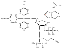 13C8 Adenosine  Phosphoramidite powder