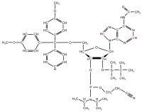 13C2 13C8 Adenosine  Phosphoramidite powder