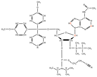 13C2 13C8 13C1' Adenosine  Phosphoramidite powder