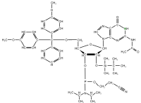 15N1 Guanosine  Phosphoramidite powder