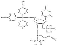 15N3 Uridine  Phosphoramidite powder