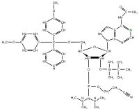 15N1 Adenosine  Phosphoramidite powder
