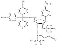 15N1 15N3 Cytidine  Phosphoramidite powder