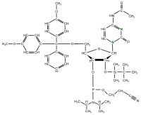 U-15N Cytidine  Phosphoramidite  powder
