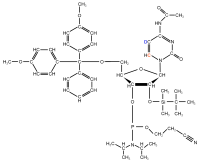 2H5 13C6 Cytidine  Phosphoramidite powder