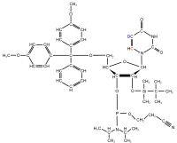 2H5 13C6 Uridine  Phosphoramidite powder