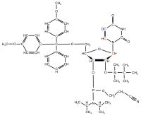 2H5 13C6 13C1' Uridine  Phosphoramidite powder