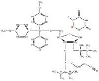 15N1 15N3 2H5 13C6  Uridine  Phosphoramidite  powder
