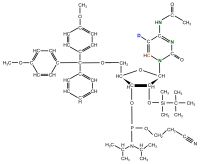 15N1 15N3 15N4 2H5 13C6  Cytidine  Phosphoramidite  powder