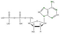 U-15N Deoxyadenosine 5'- diphosphate ithium salt  solution