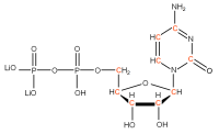 U-13C Cytidine 5'- diphosphate  lithium salt solution