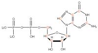U-13C Guanosine 5'- diphosphate lithium salt  solution