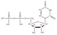 U-13C Uridine 5'-diphosphate  lithium salt solution