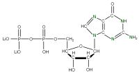 U-15N Guanosine 5'- diphosphate lithium salt  solution