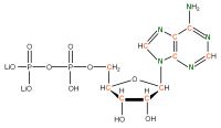 U-13C U-15N Adenosine 5'- diphosphate lithium salt  solution