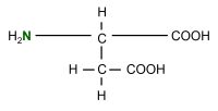 15N L-Aspartic acid  powder