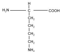 unlabele d L-Lysine  hydrochloride powder