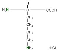 15N L-Lysine hydrochloride  powder