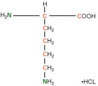 13C 15N L-Lysine  hydrochloride powder
