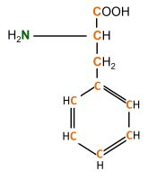 13C 15N L-Phenylalanine  powder
