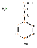13C 15N L-Tyrosine powder
