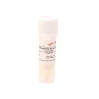Lysine(6)-labelled SILAC Fly  Diet, powder