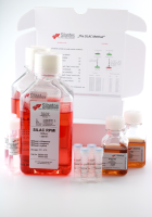 SILAC RPMI L-Lysine(8) L- Arginine(10) Kit
